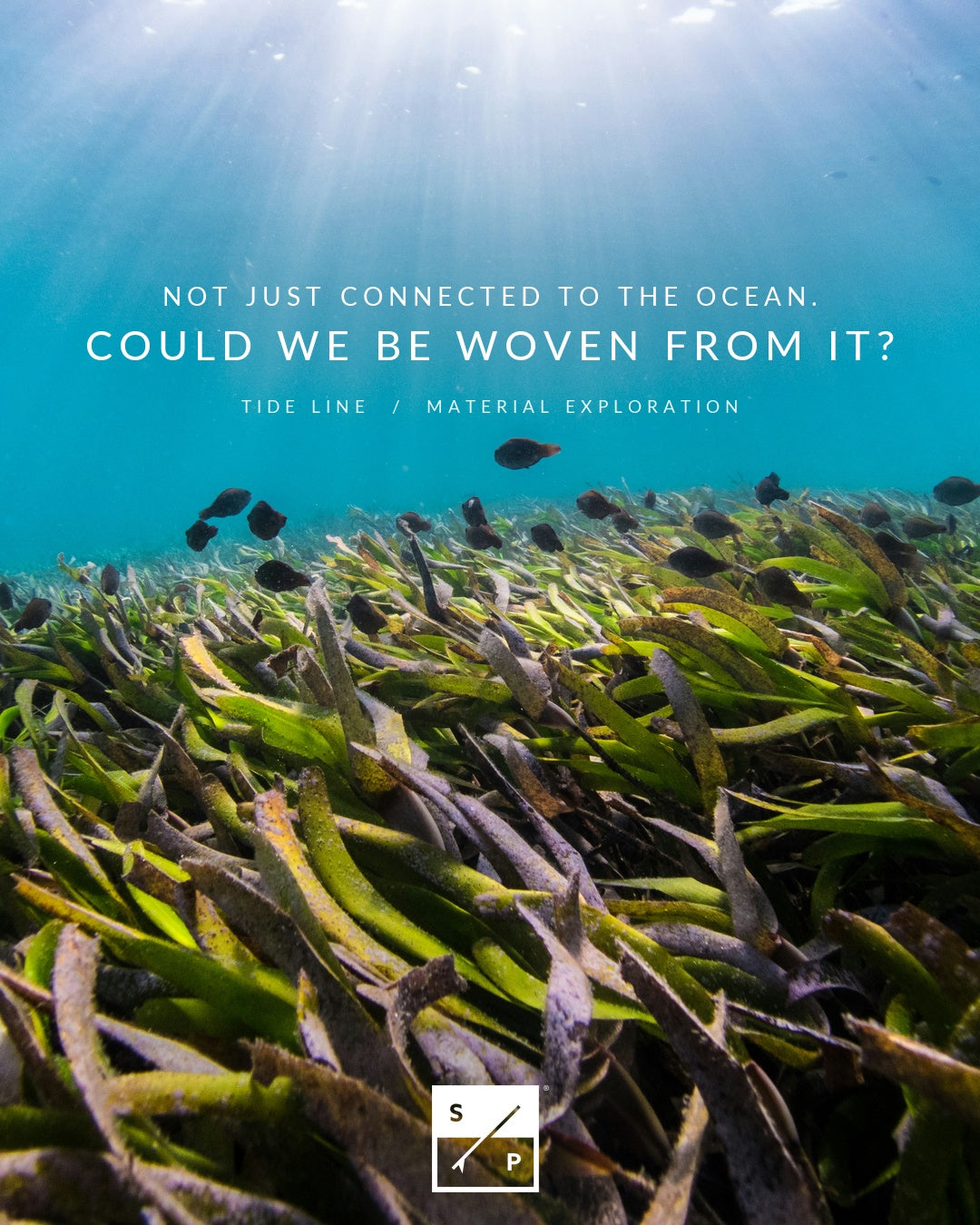Could We Wear the Ocean?
